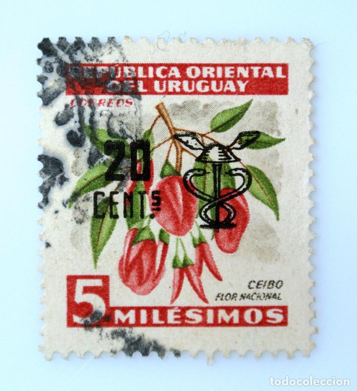 sello postal uruguay 1959, 20 c, flora, ceibo f - Buy Stamps about flora at  todocoleccion - 231711930