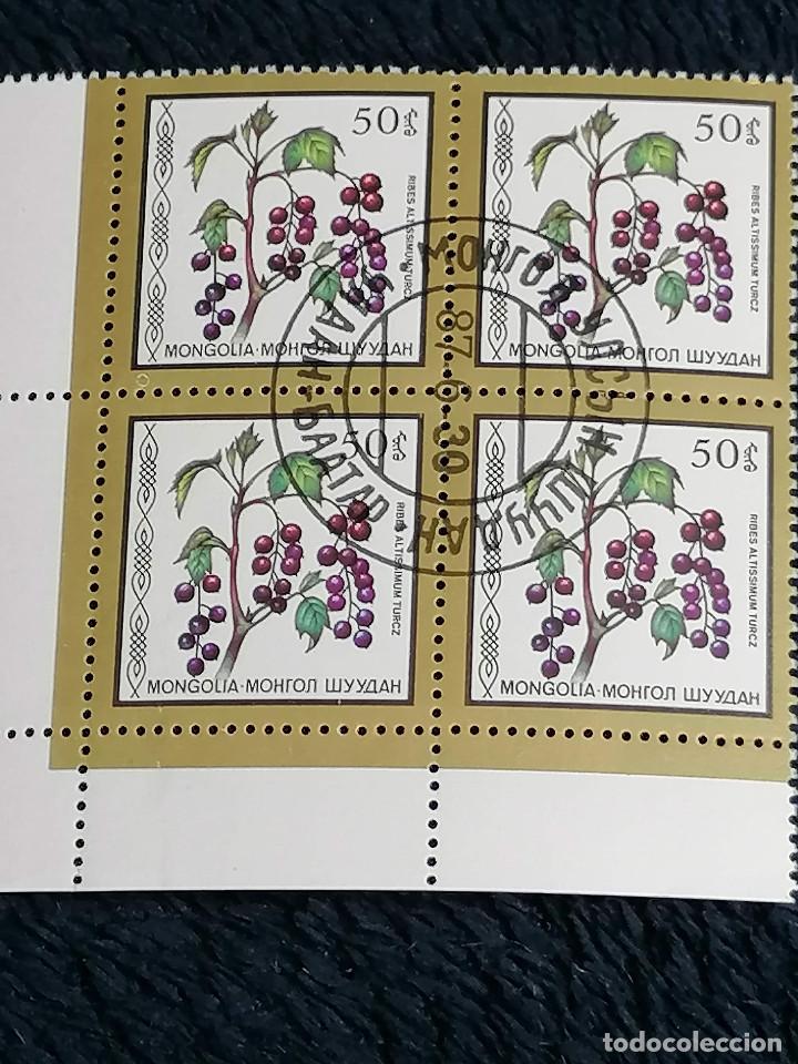Sellos: Fresas,Moras Mongolia sellos Usado - Foto 3