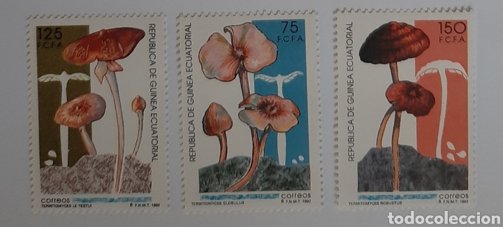 Sellos: Setas. Guinea Ecuatorial 1992. MNH** - Foto 1