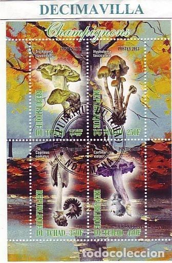 Sellos: FLORA, SETAS, TCHAD, 2013, L567, HOJA-BLOQUE USADA - Foto 1