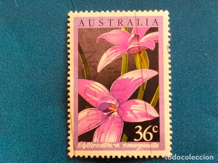 Sellos: Australia. Yvert 973. Flora. Flores - Foto 1