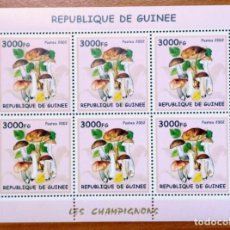 Sellos: GUINEA 2002 BLOQUE SELLOS TEMA FLORA - HONGOS - SETAS - CHAMPIGNONES - MUSHROOMS. Lote 308029968