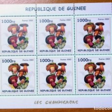 Sellos: GUINEA 2002 BLOQUE SELLOS TEMA FLORA - HONGOS - SETAS - CHAMPIGNONES - MUSHROOMS. Lote 308030123