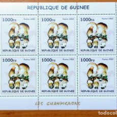 Sellos: GUINEA 2002 BLOQUE SELLOS TEMA FLORA - HONGOS - SETAS - CHAMPIGNONES - MUSHROOMS. Lote 308030263