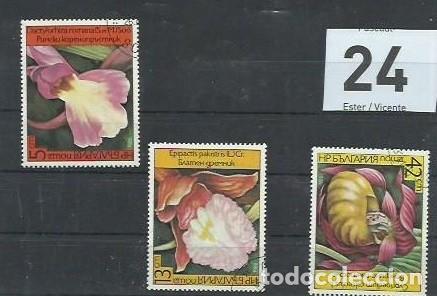 Sellos: FLORA.- ID 24.- FLORES - Foto 1