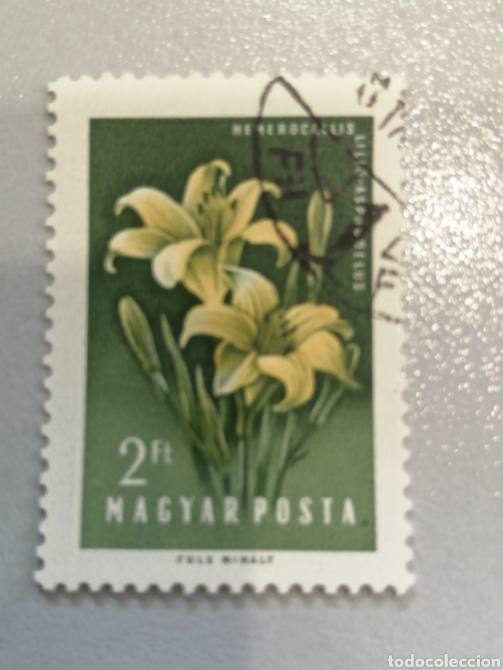 Sellos: HUNGR&Iacute;A 1958. Yvert 1254. Flores. - Foto 1