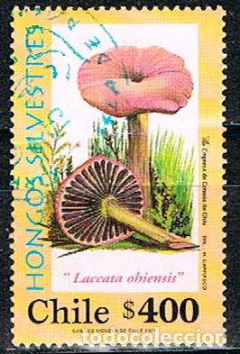 Sellos: Chile n&ordm; 1998, Seta: Lacaria del eucalipto, usado - Foto 1