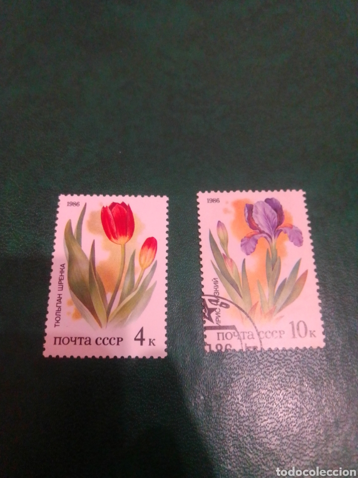 Sellos: Rusia URSS flores - Foto 1