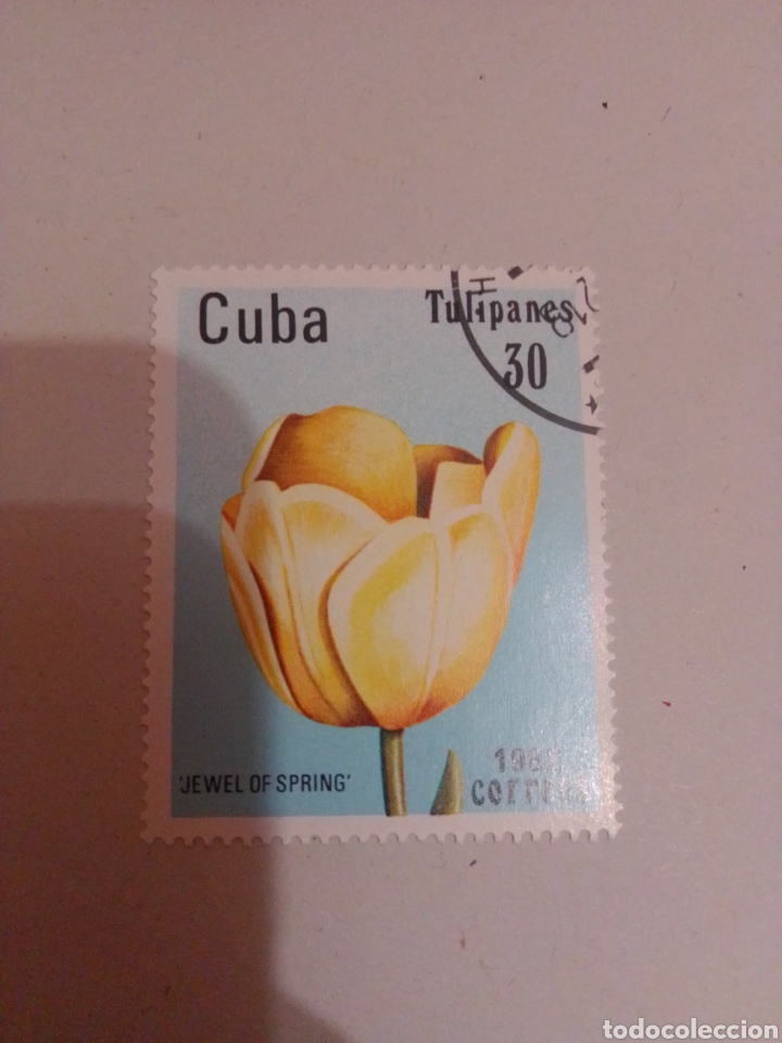 Sellos: Cuba flora flores - Foto 1