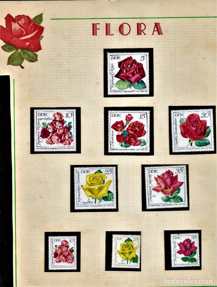 Sellos: HOJA DE SELLOS - TEMA FLORA - DDR - 1972 - Foto 1