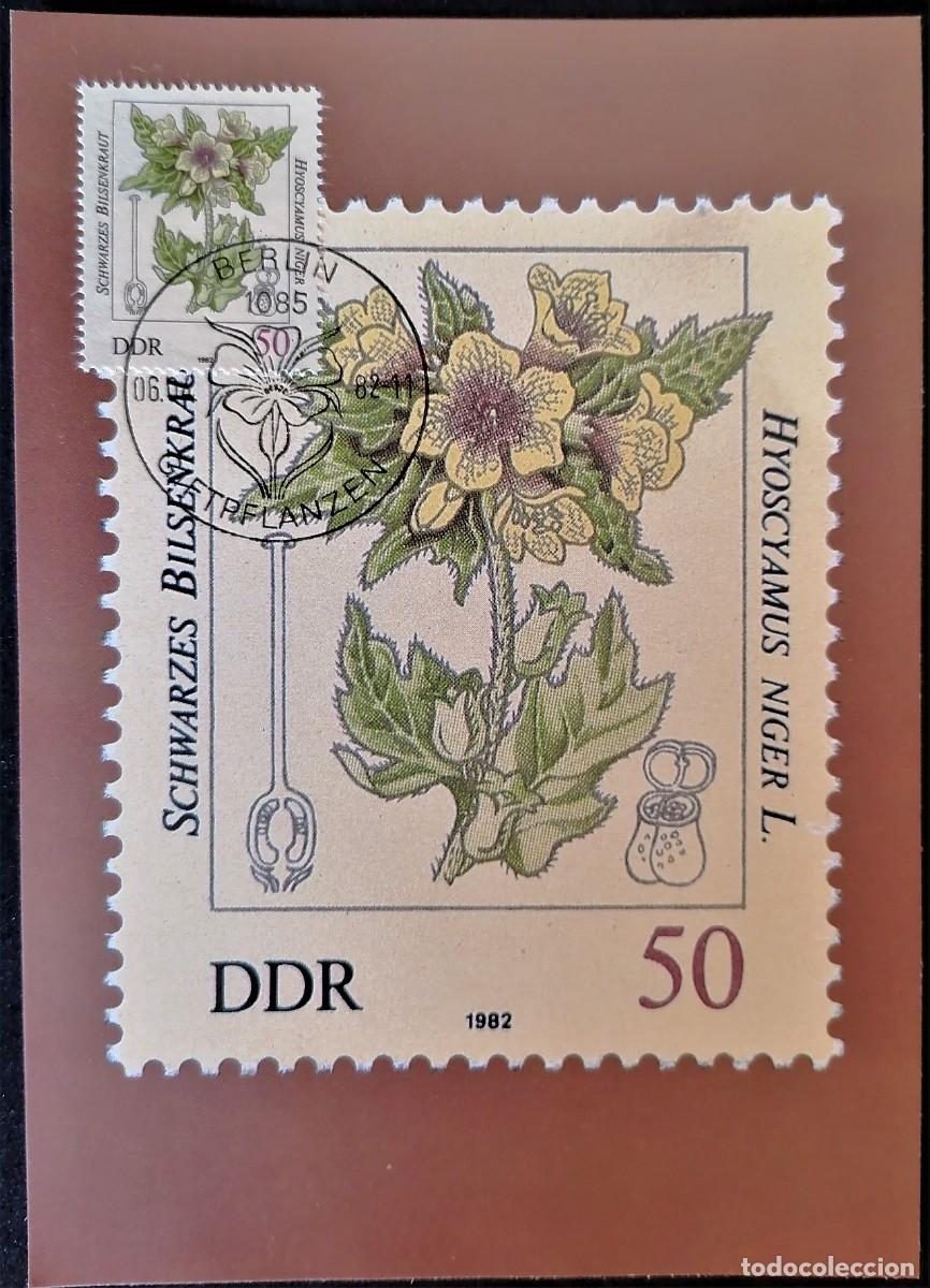 Sellos: BERLIN 1982 TARJETAS FLORA - Foto 3