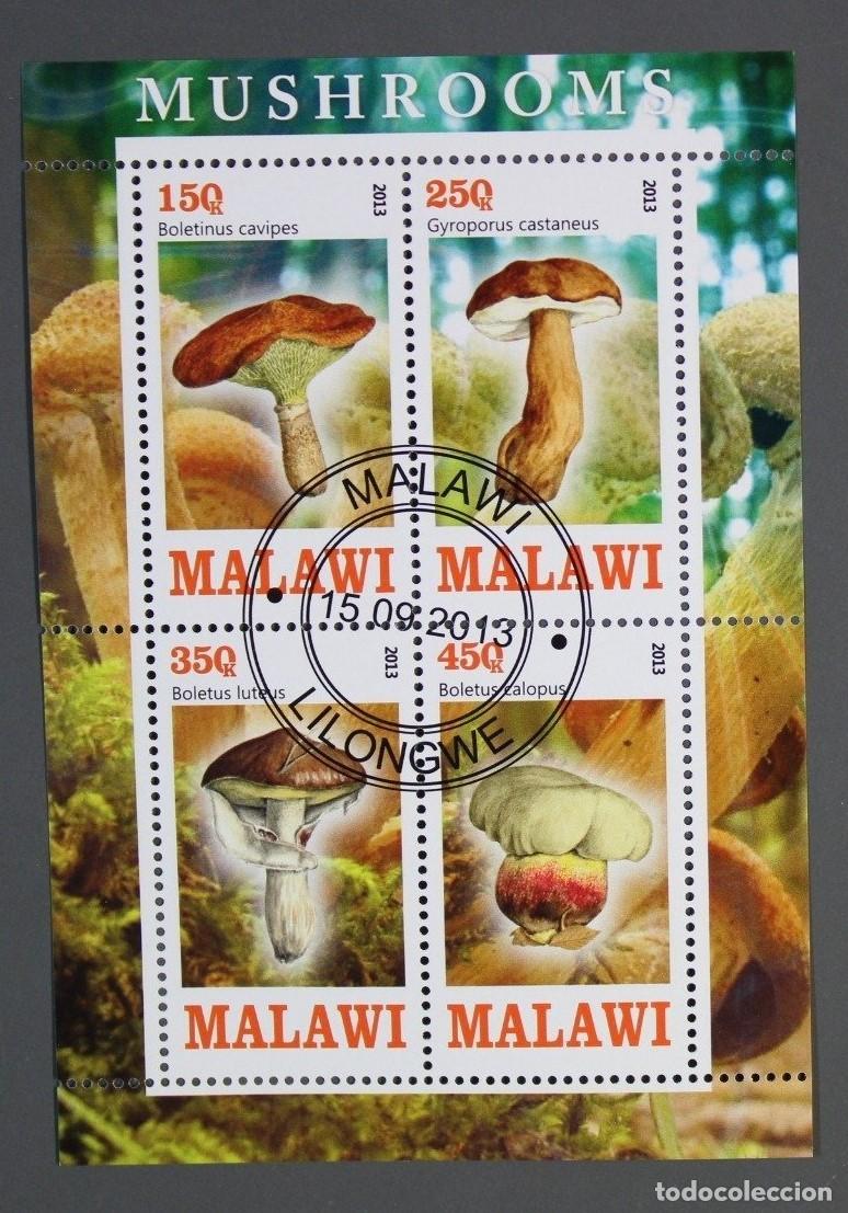 Sellos: Bloque de sellos MALAWI &rdquo;SETAS&rdquo;. Sellado - Foto 1