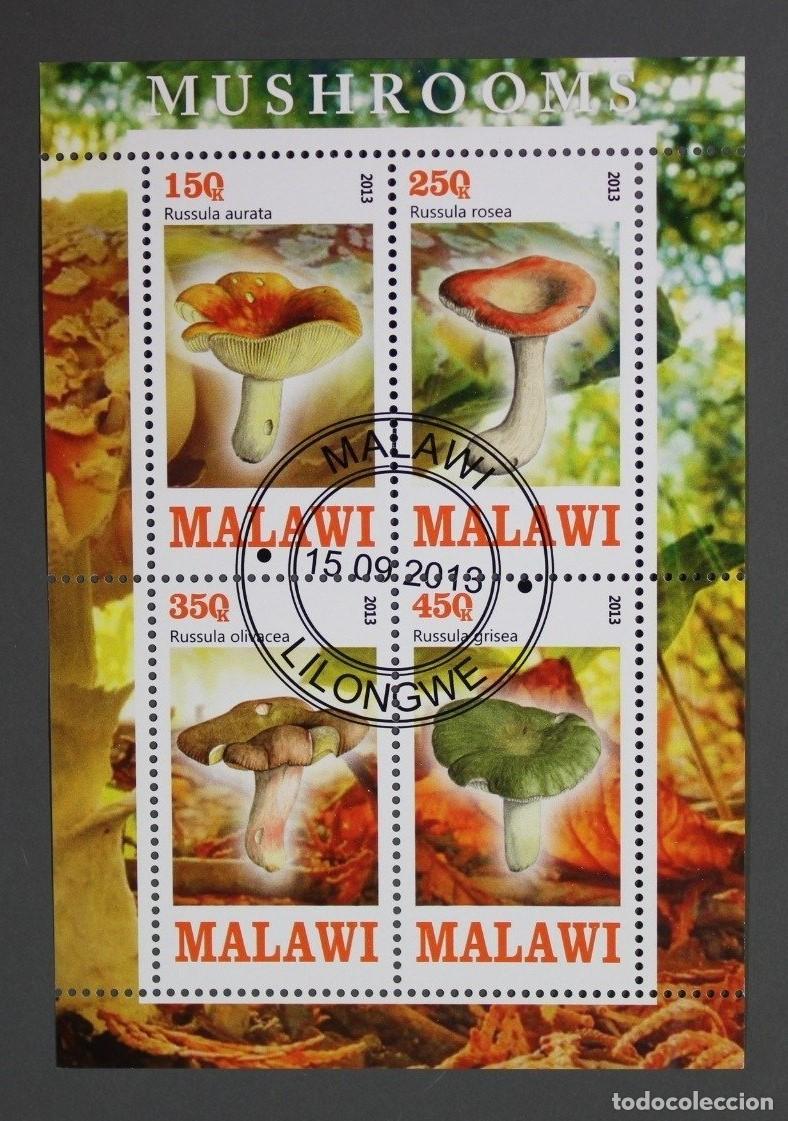 Sellos: Bloque de sellos MALAWI &rdquo;SETAS&rdquo;. Sellado - Foto 1
