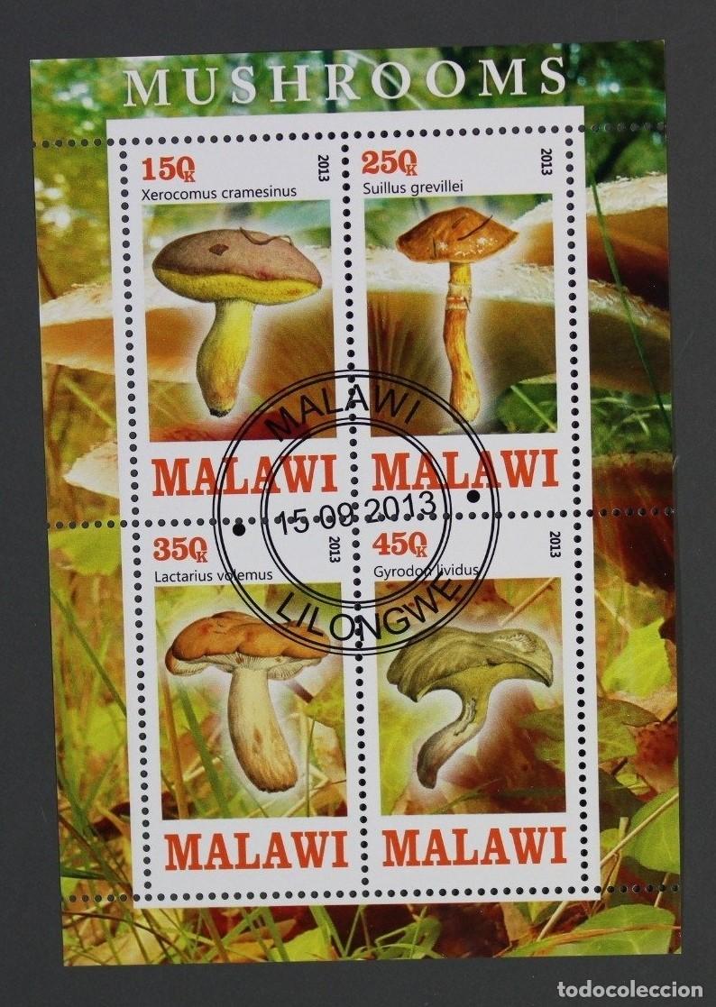 Sellos: Bloque de sellos MALAWI &rdquo;SETAS&rdquo;. Sellado - Foto 1