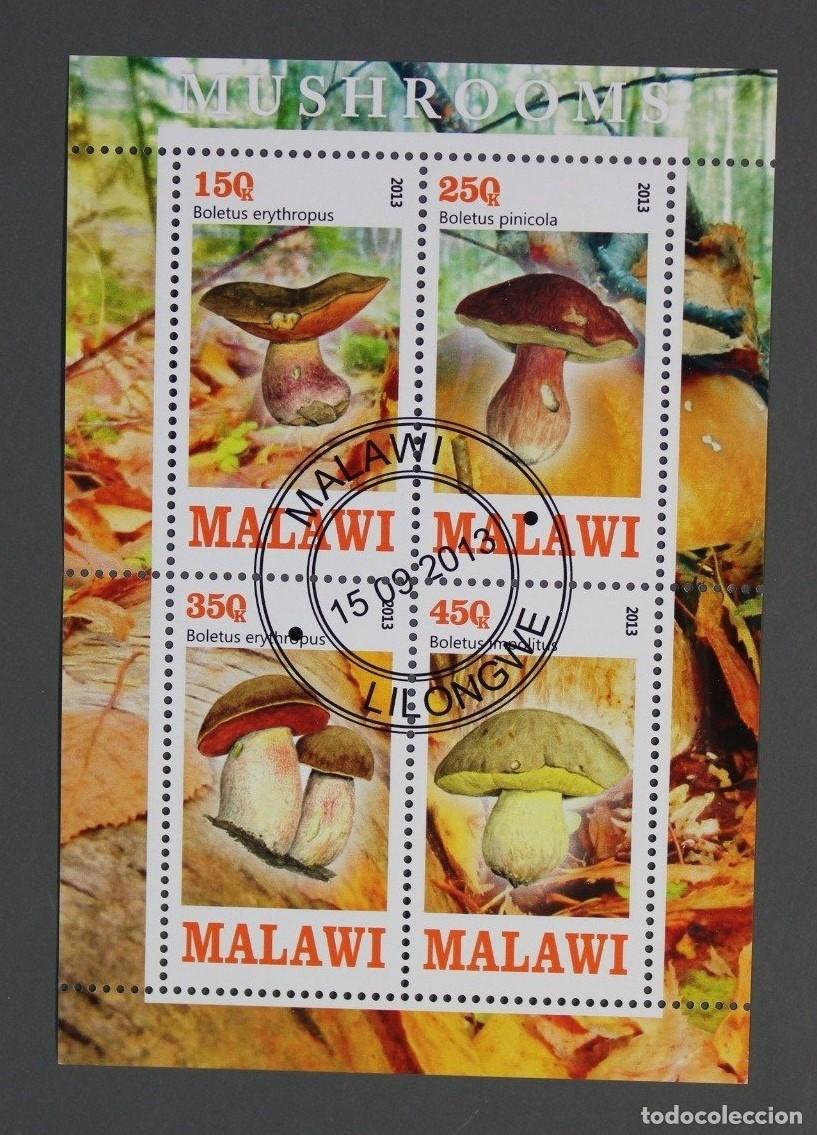 Sellos: Bloque de sellos MALAWI &rdquo;SETAS&rdquo;. Sellado - Foto 1