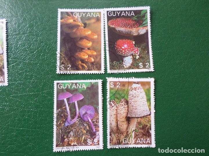 Sellos: :guyana, 1988, setas, Yvert 1769ME/MH - Foto 1