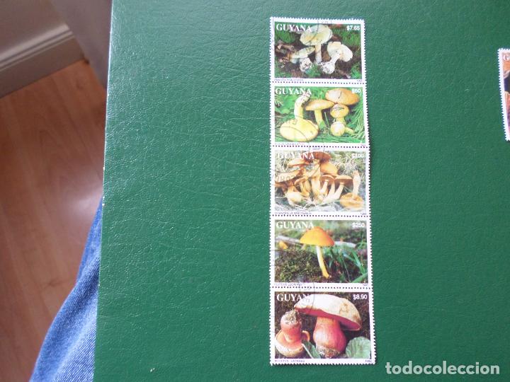 Sellos: :guyana, 1993, setas, serie completa - Foto 1