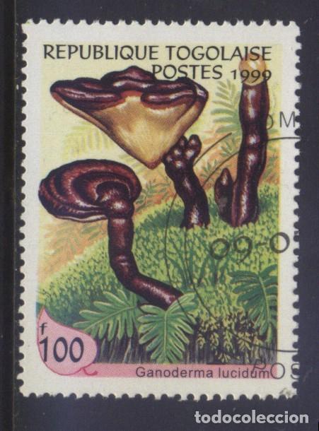 Sellos: S-08450- SELLO SETAS. MUSHROOMS STAMP. GANODERMA LUCIDUM - Foto 1