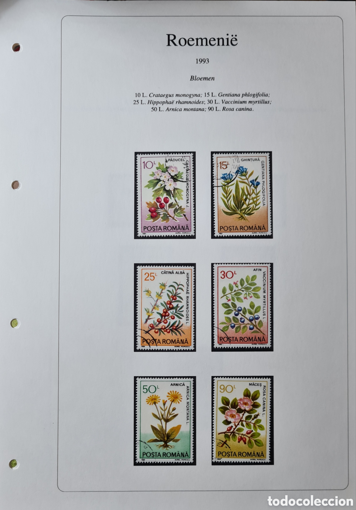 Sellos: Sellos de Flores de Ruman&iacute;a - Foto 4