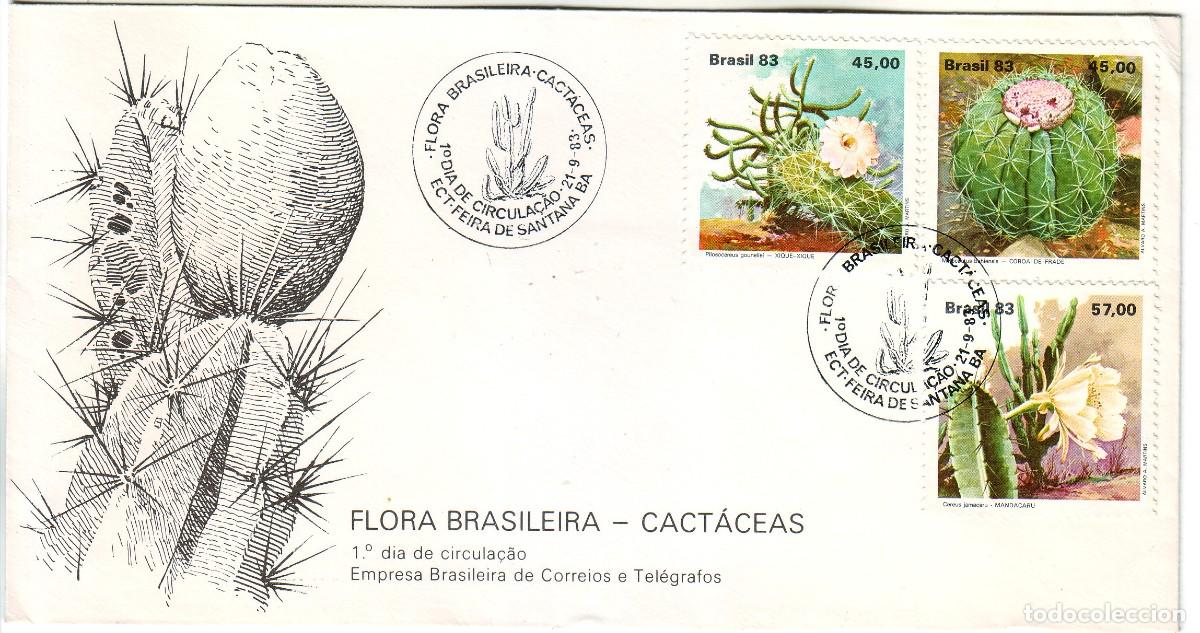Sellos: SOBRE DE BRASIL CON CACTUS - Foto 1