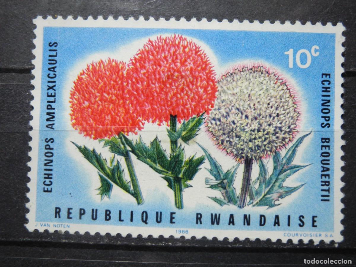 Sellos: Ruanda 1966. Yvert: 148. Echinops amplexiaulis. Flores - Foto 1