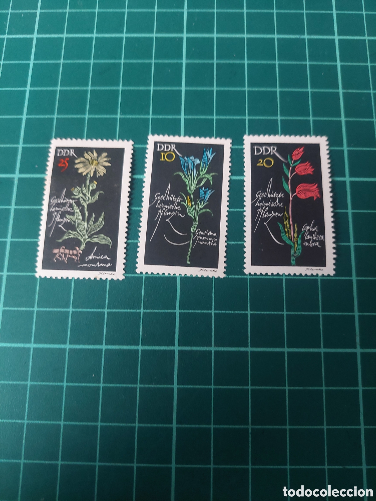 Sellos: 1966 ALEMANIA DDR SERIE COMPLETA NUEVOS FLORA FLORES NATURALEZA
