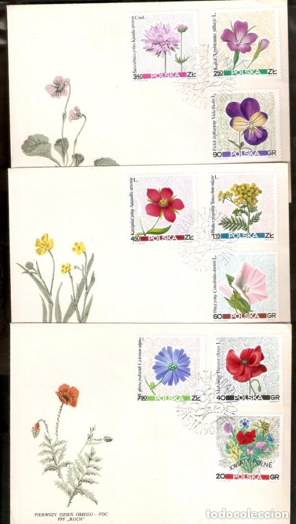 Sellos: POLONIA. 1967. FLORES. FLORA - Foto 1
