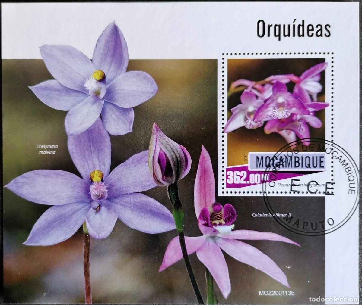 Sellos: MOZAMBIQUE 2020 - HB FLORA . - Foto 1