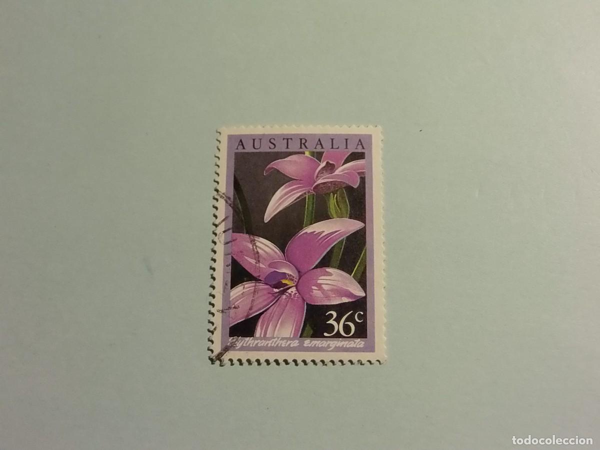 Sellos: AUSTRALIA - FLORA - Elythranthera emarginata, ORQUIDEA DE ESMALTE ROSA. - Foto 1