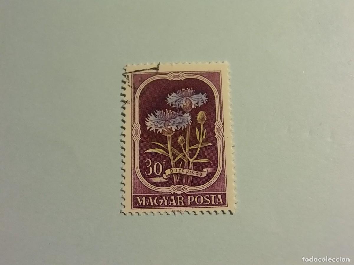 Sellos: HUNGRIA - FLORA - FLORECIMIENTO DE MA&Iacute;Z. - Foto 1