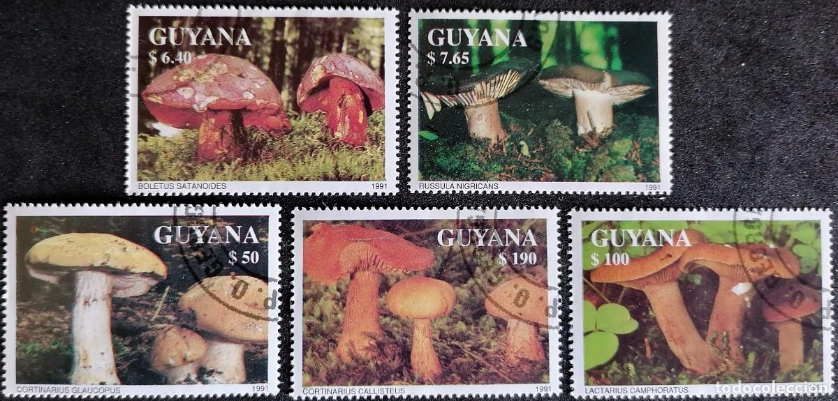 Sellos: GUYANA 1991 - SETAS . - Foto 1