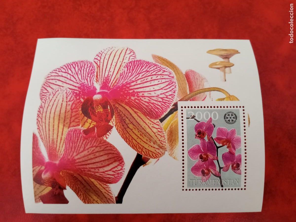 Sellos: FLORES, HB DE TURKMENISTAN - Foto 1