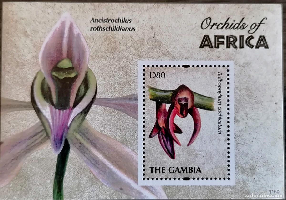 Sellos: GAMBIA 2011 - HB ORQUIDEAS . - Foto 1