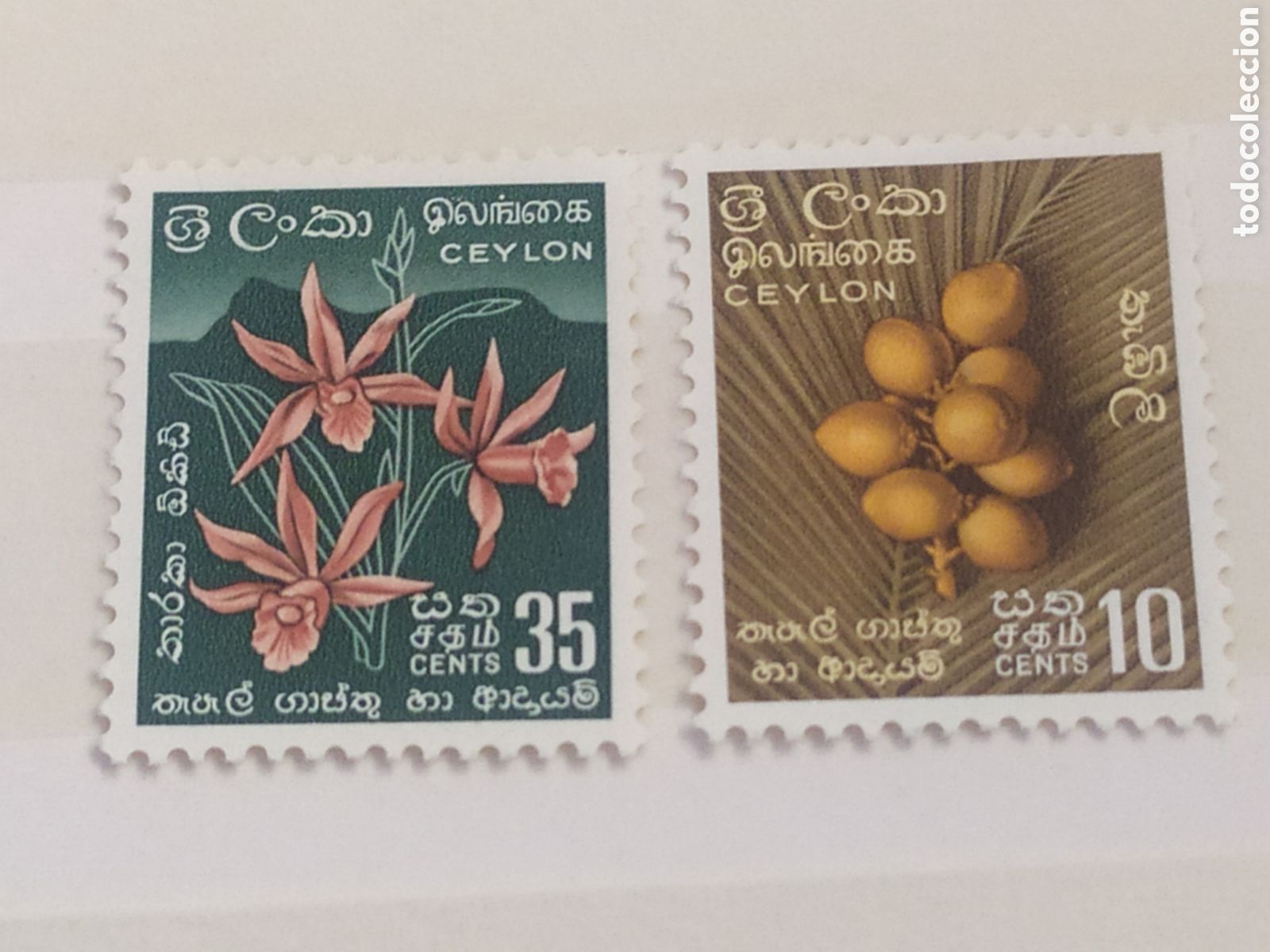 Sellos: CEYLAN 287*-295* FLORA FRUTOS - Foto 1