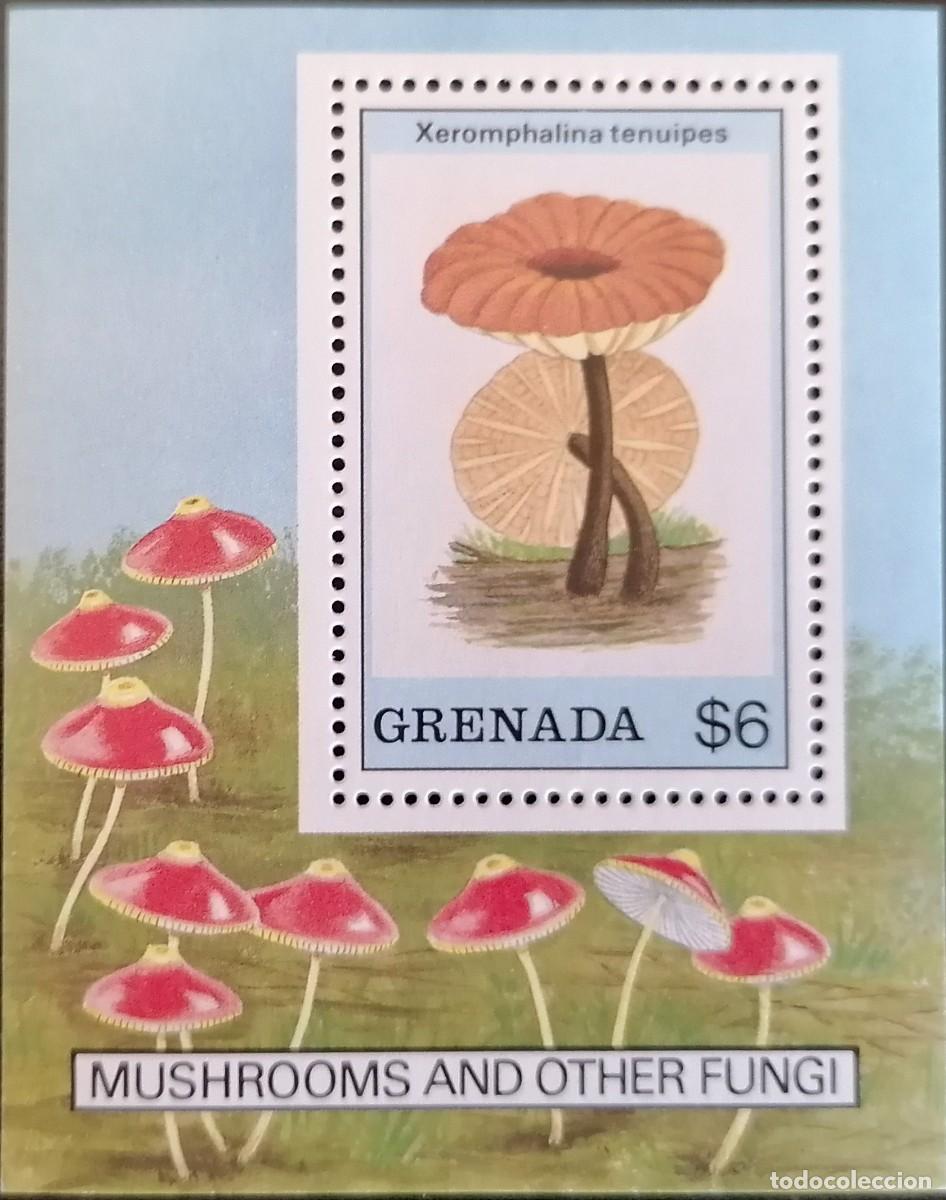 Sellos: GRANADA 1989 - HB SETAS . - Foto 1