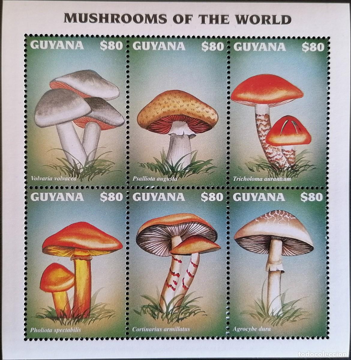 Sellos: GUYANA 1997 - HB SETAS . - Foto 1