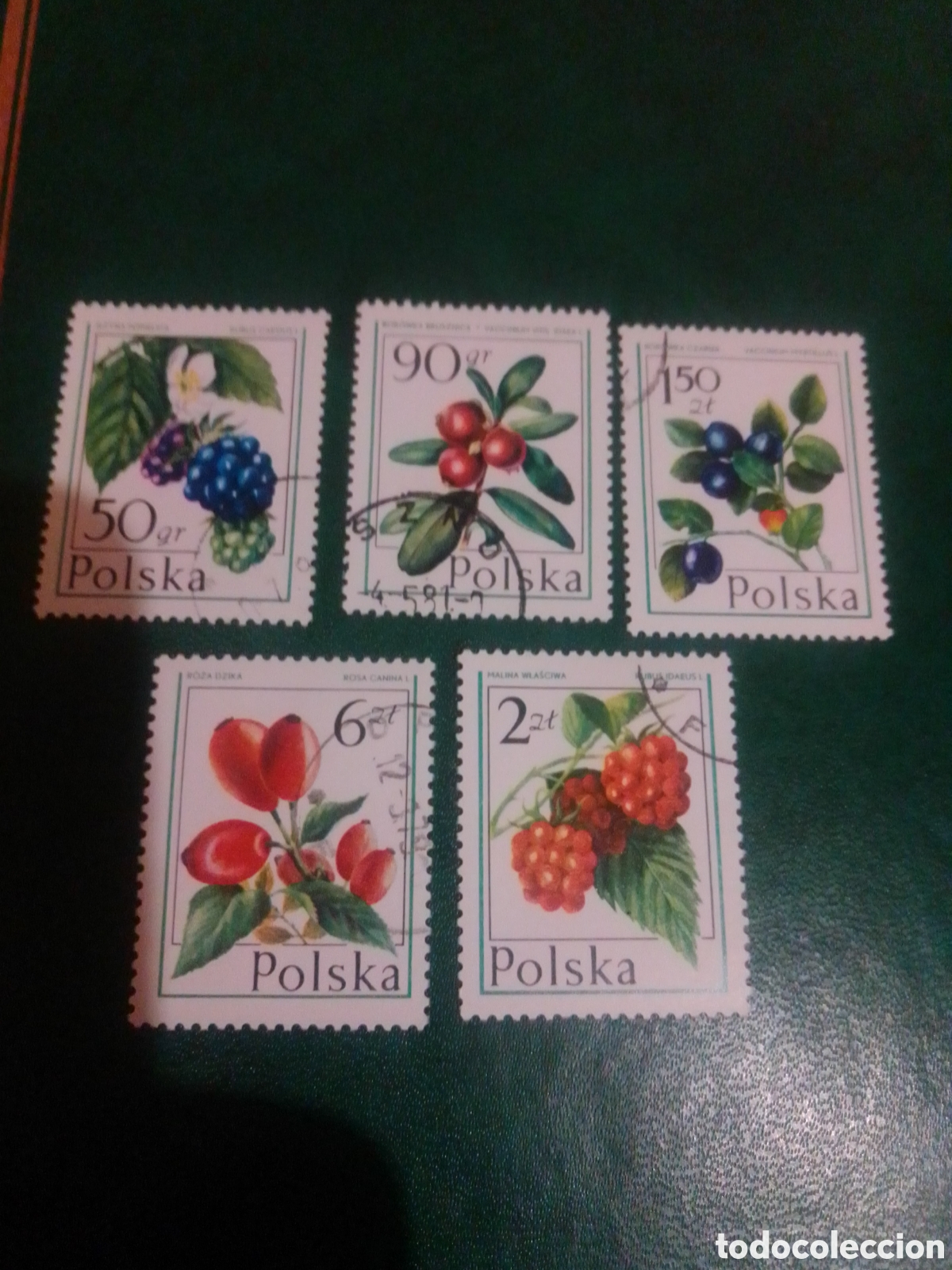 Sellos: Polonia flora .......... - Foto 1