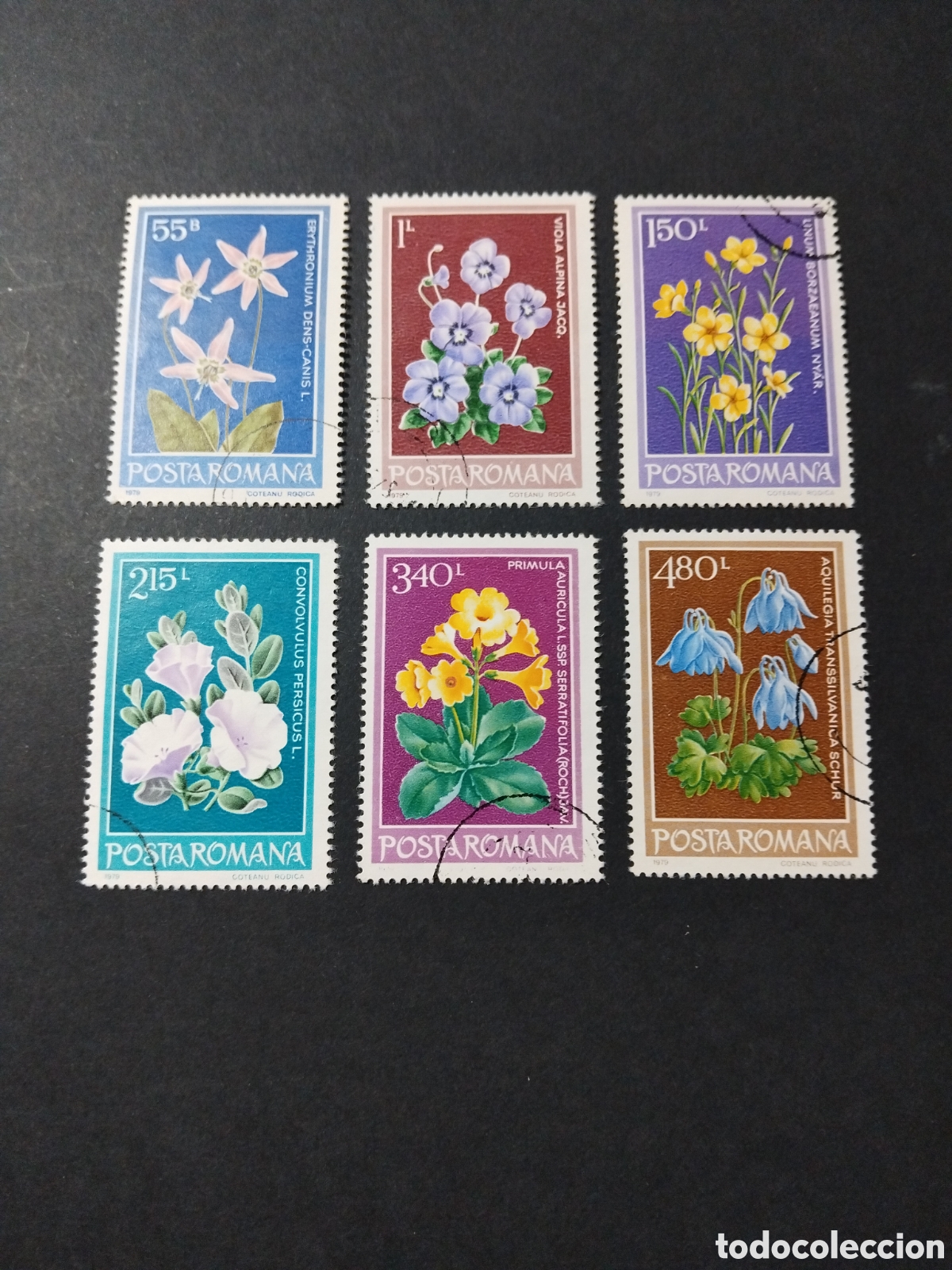 Sellos: Ruman&iacute;a. 1979. Flores. - Foto 1