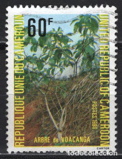 Sellos: CAMERUN 1980 usado FLORA Yvert 656 - Foto 1
