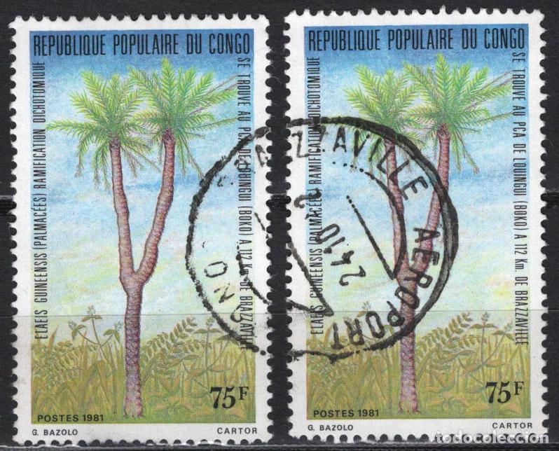 Sellos: CONGO 1981 usado FLORA Yvert 621 - Foto 1