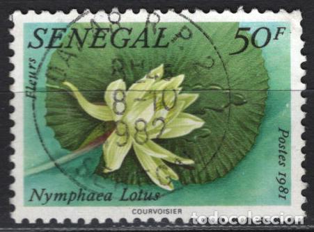 Sellos: SENEGAL 1981 usado FLORA Yvert 562 - Foto 1