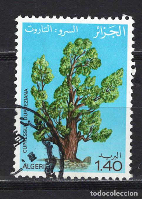 Sellos: ARGELIA 1981 usado FLORA Yvert 733 - Foto 1