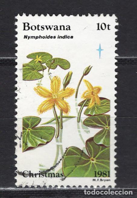 Sellos: BOTSWANA 1981 usado FLORA Yvert 438 - Foto 1