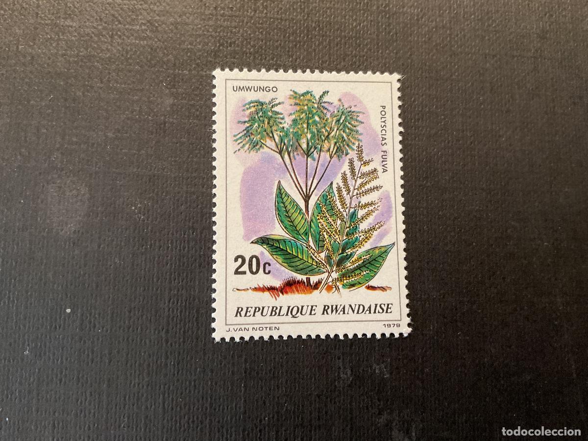 Sellos: RUANDA N&ordm; YVERT 545*** A&Ntilde;O 1979. FLORA. POLYSCIAS FULVA - Foto 1