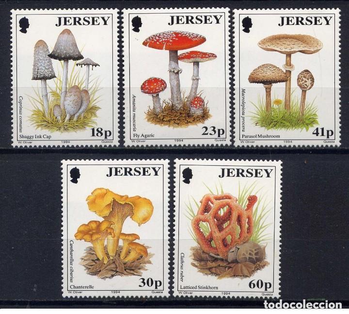 Sellos: Jersey 1994 Ivert 633/37 *** Flora - Setas de Jersey