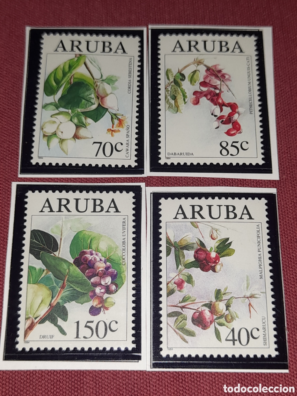 Sellos: Sello Aruba nuevo 1994. Frutos salvajes. Flora. Bayas. Cawaraspano. Uvas arbusto. Acero&ntilde;a