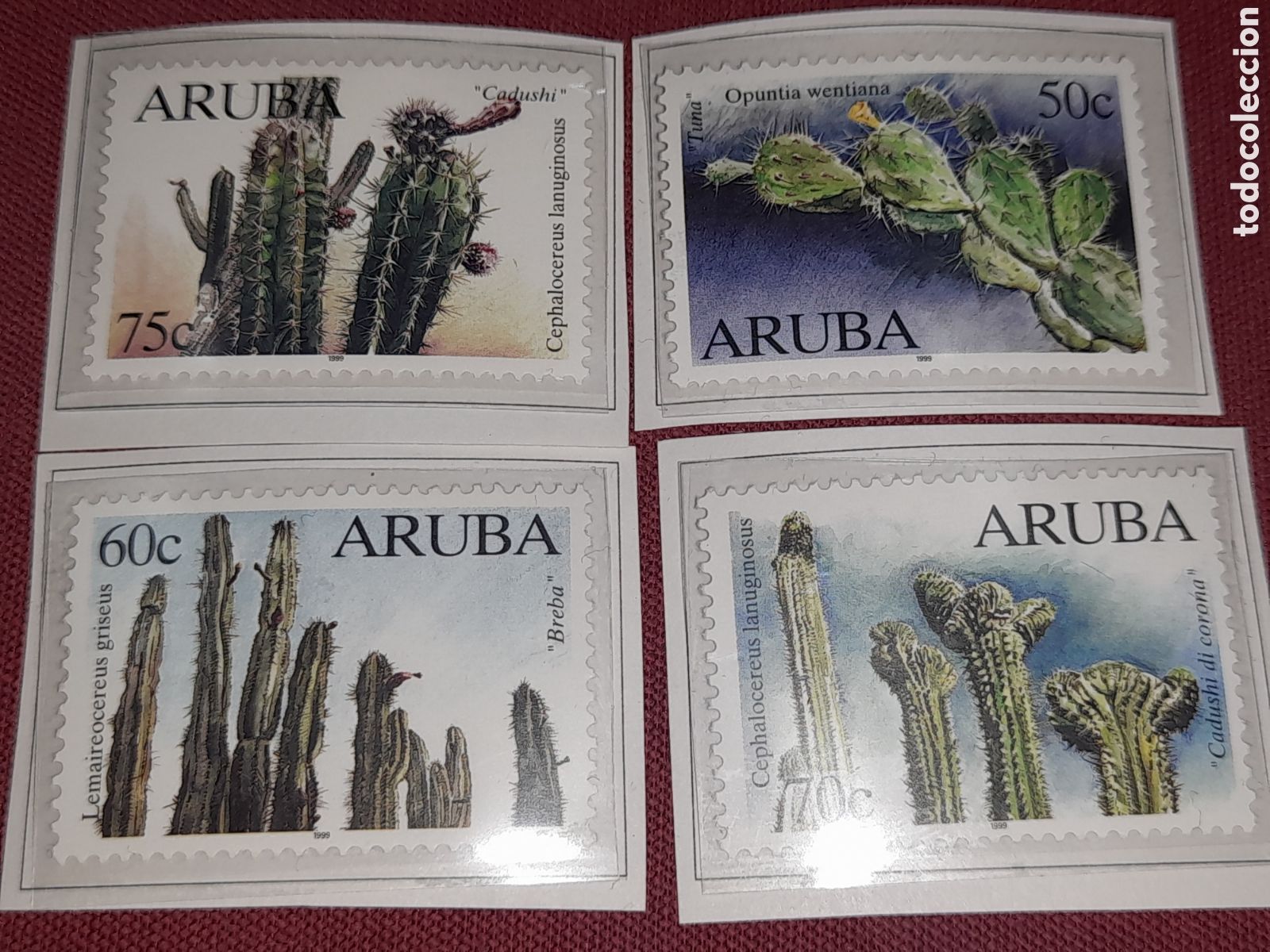 Sellos: Sello Aruba nuevo 1999. Cactus. Naturaleza. Desierto. Flora.