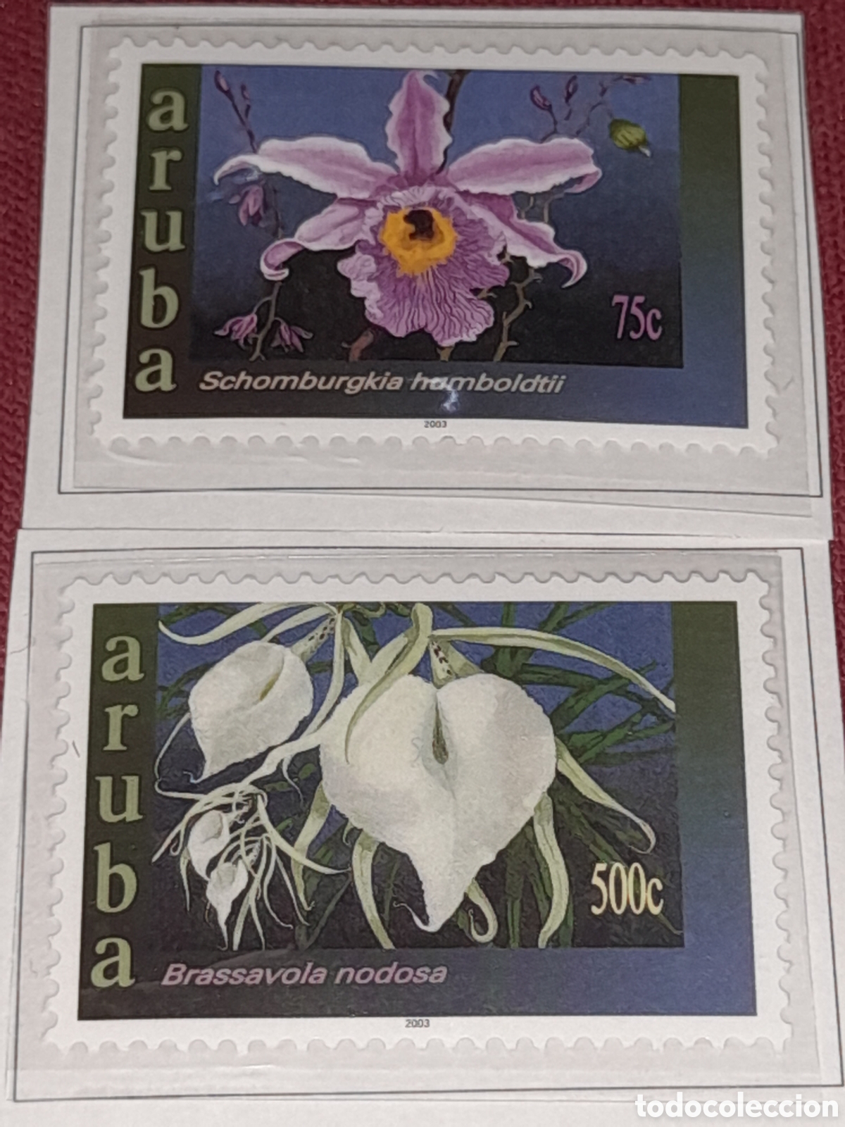 Sellos: Sello Aruba nuevo 2003. Orqu&iacute;deas. Flores. Flora. Plantas. Naturaleza.