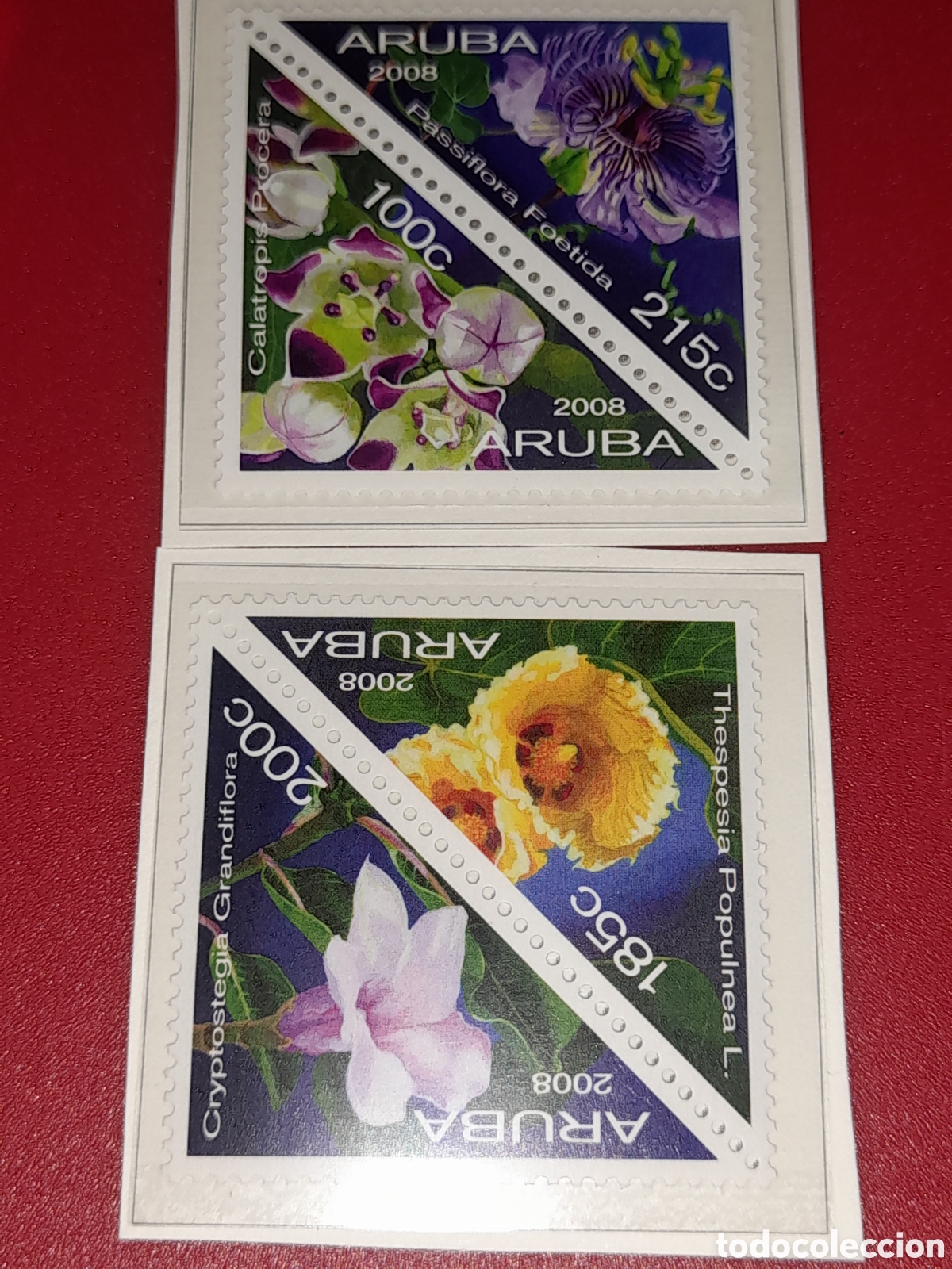 Sellos: Sello Aruba nuevo 2008. Flores. Flora. Plantas. Naturaleza.
