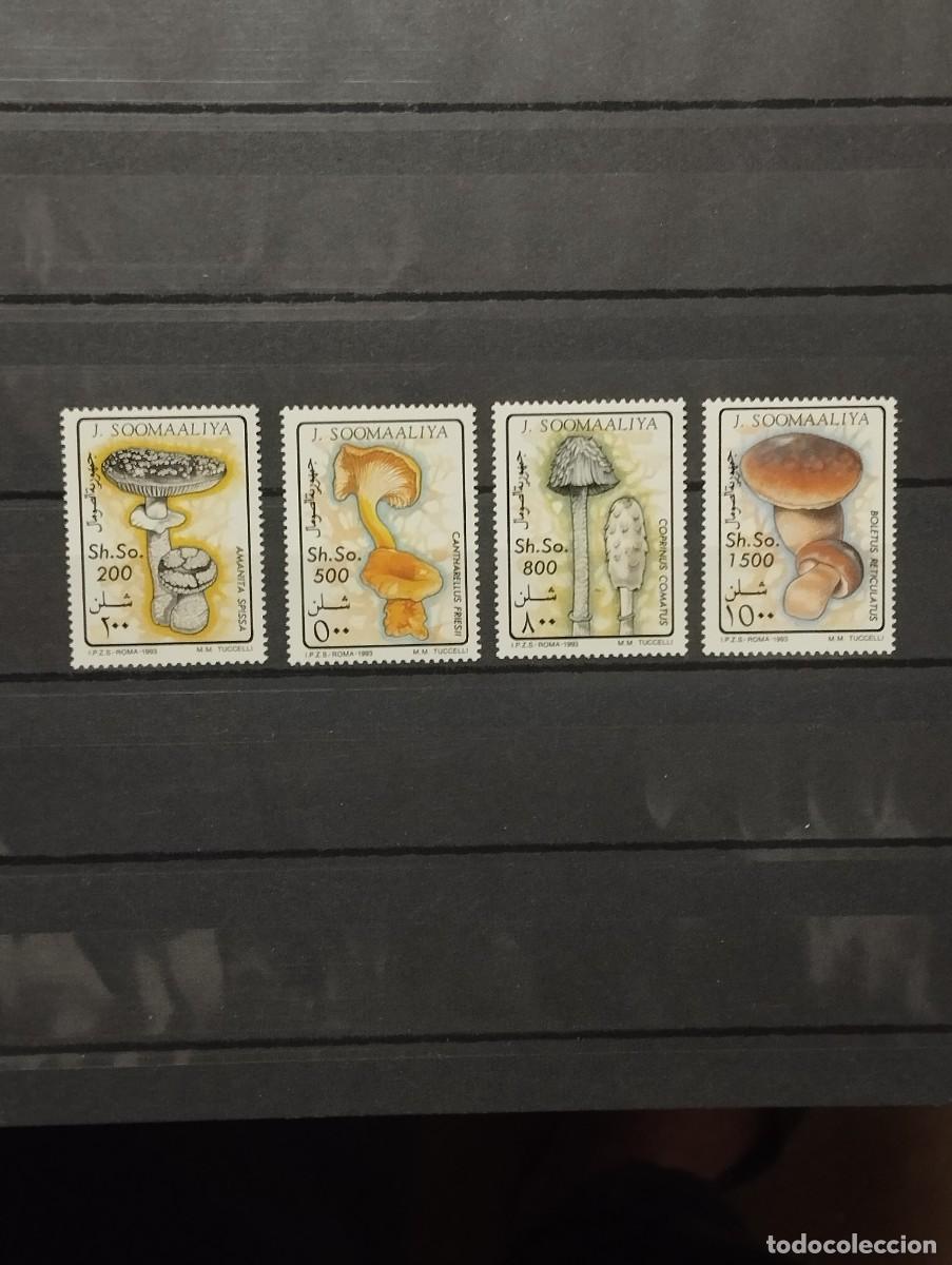 Sellos: 28.04/ Somalia. 1993. Ser&iacute;a completa en nuevo. Setas